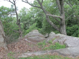 Rugged terrain at Point Park on Lookout Mountain